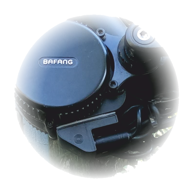 Bafang Legal Modul