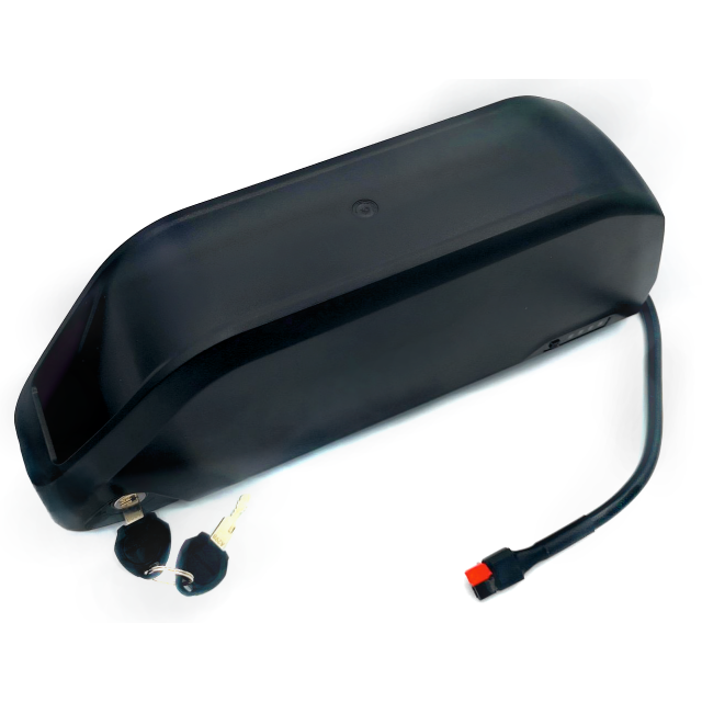 GutRad Force IV + Super Big Power Rahmenakku Schiene