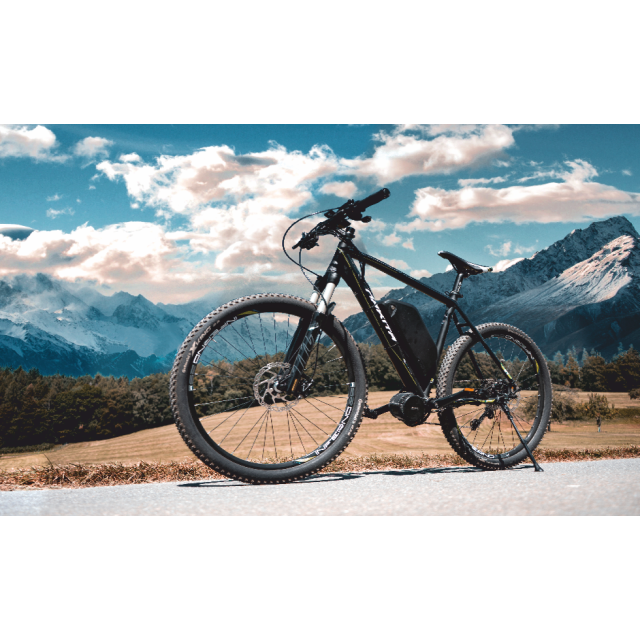 Legal mit StVO Modul für Bafang BBS01 BBS02 BBSHD 250W 350W 500W 750W 1000W