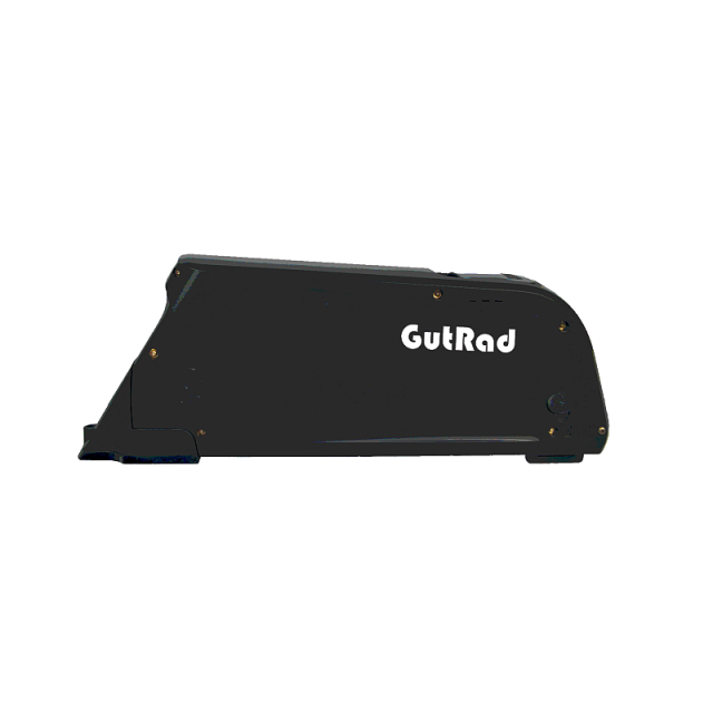 Akku Leergehäuse Pure von GutRad